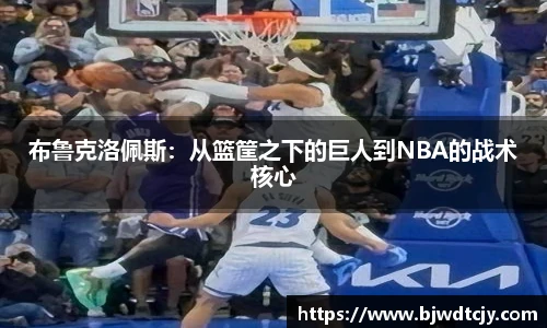 布鲁克洛佩斯：从篮筐之下的巨人到NBA的战术核心