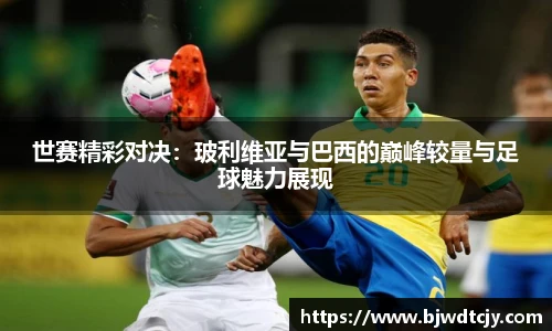 球速体育官网入口