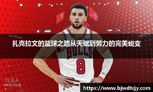 球速体育手机网页版登录